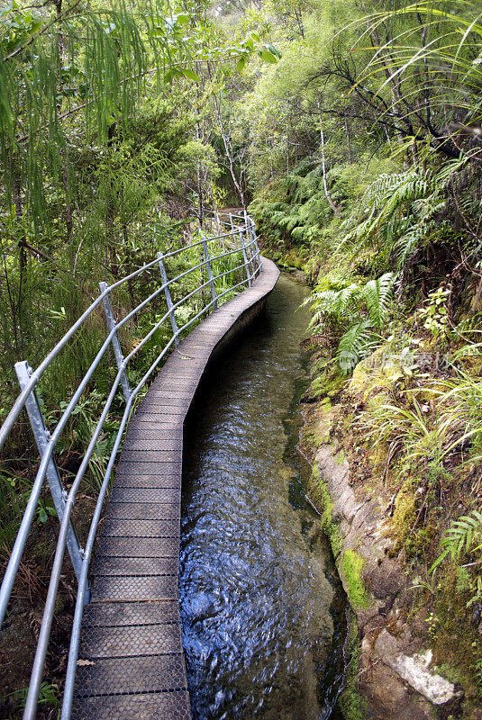 新西兰金湾Pupu Hydro步道